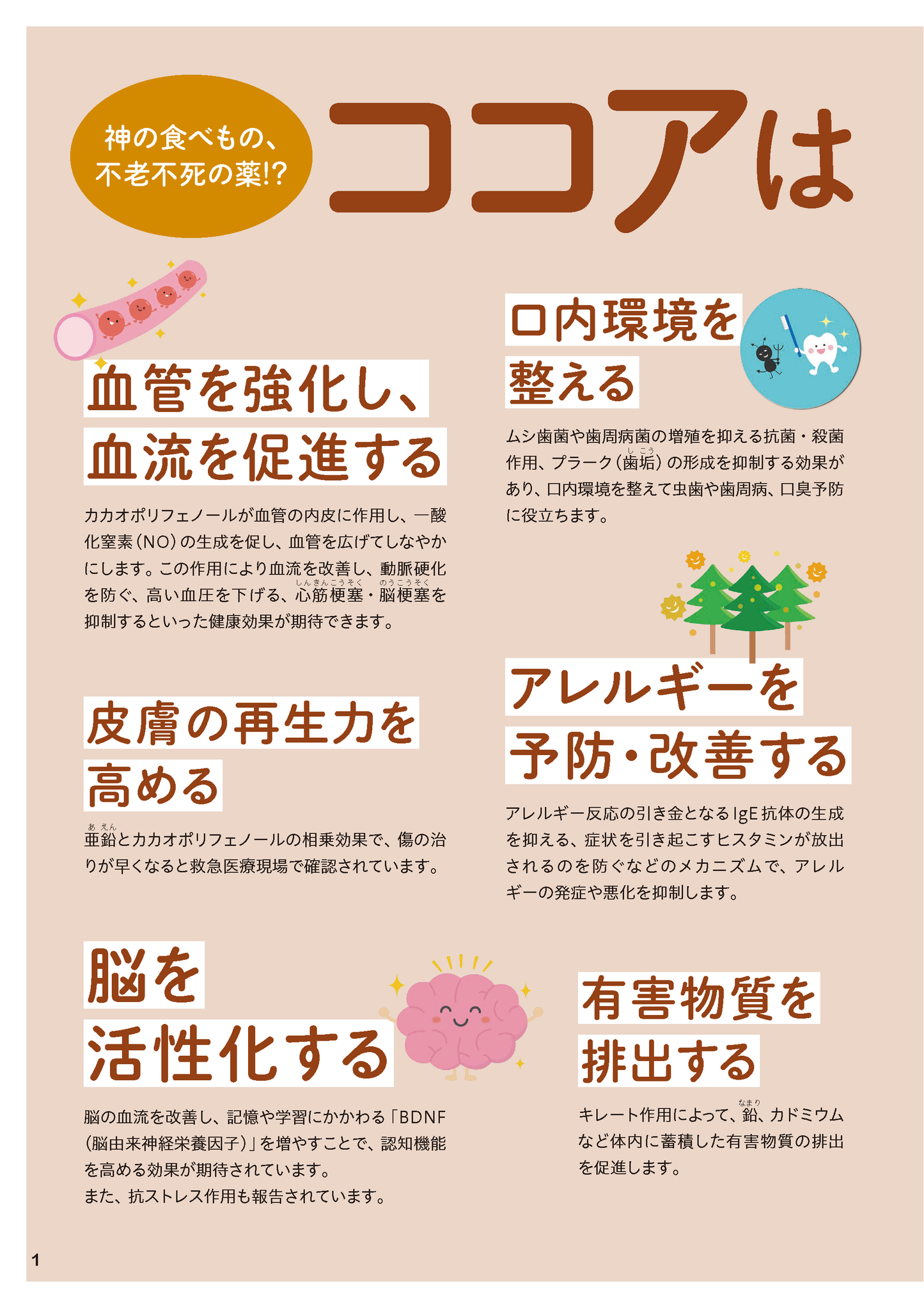 【書籍】ココア おなかスッキリ！血管が若返る最強の活用BOOK(M1934)