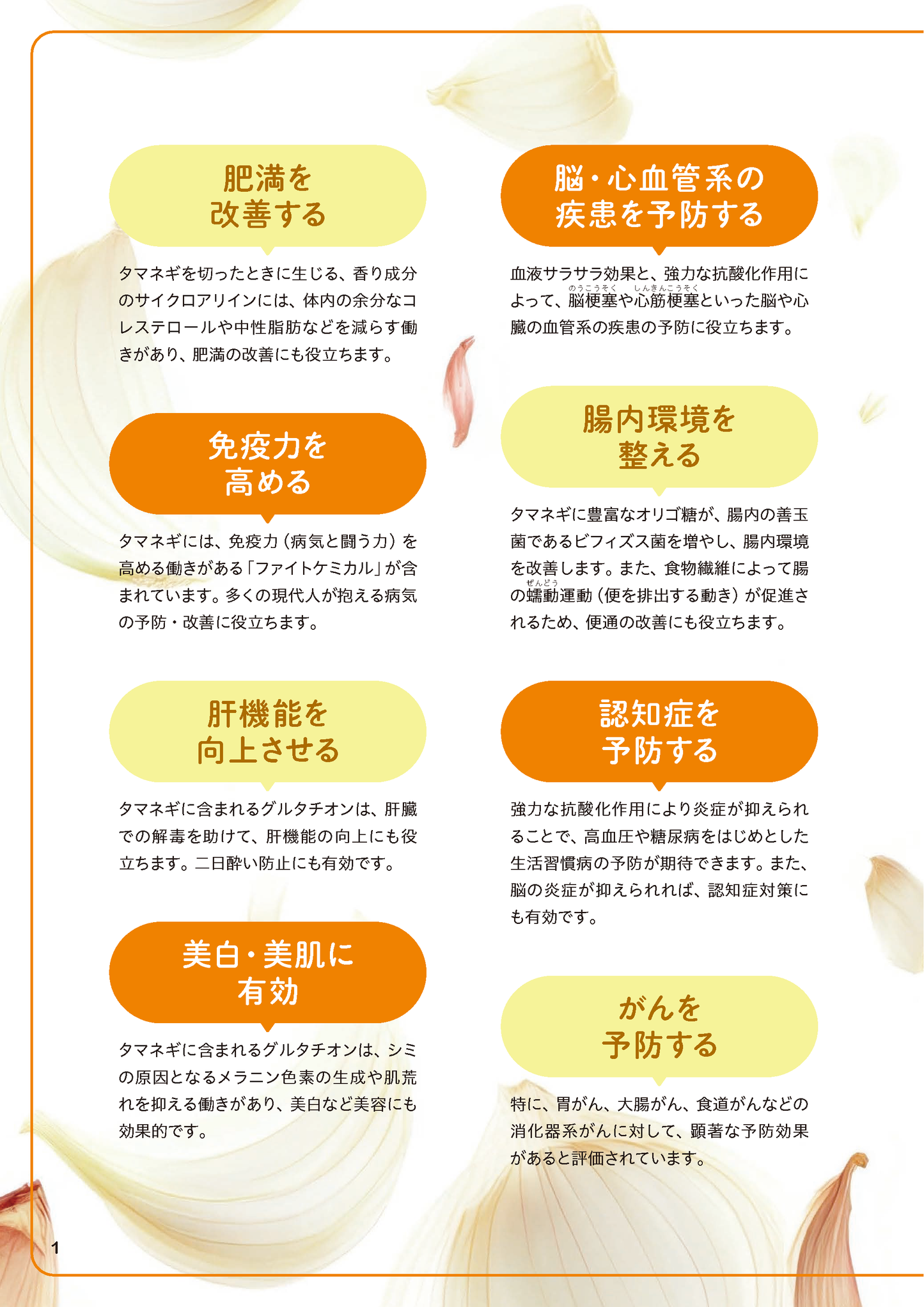 【書籍】タマネギ 糖尿病、高血圧を撃退する最強の活用BOOK(M1957)