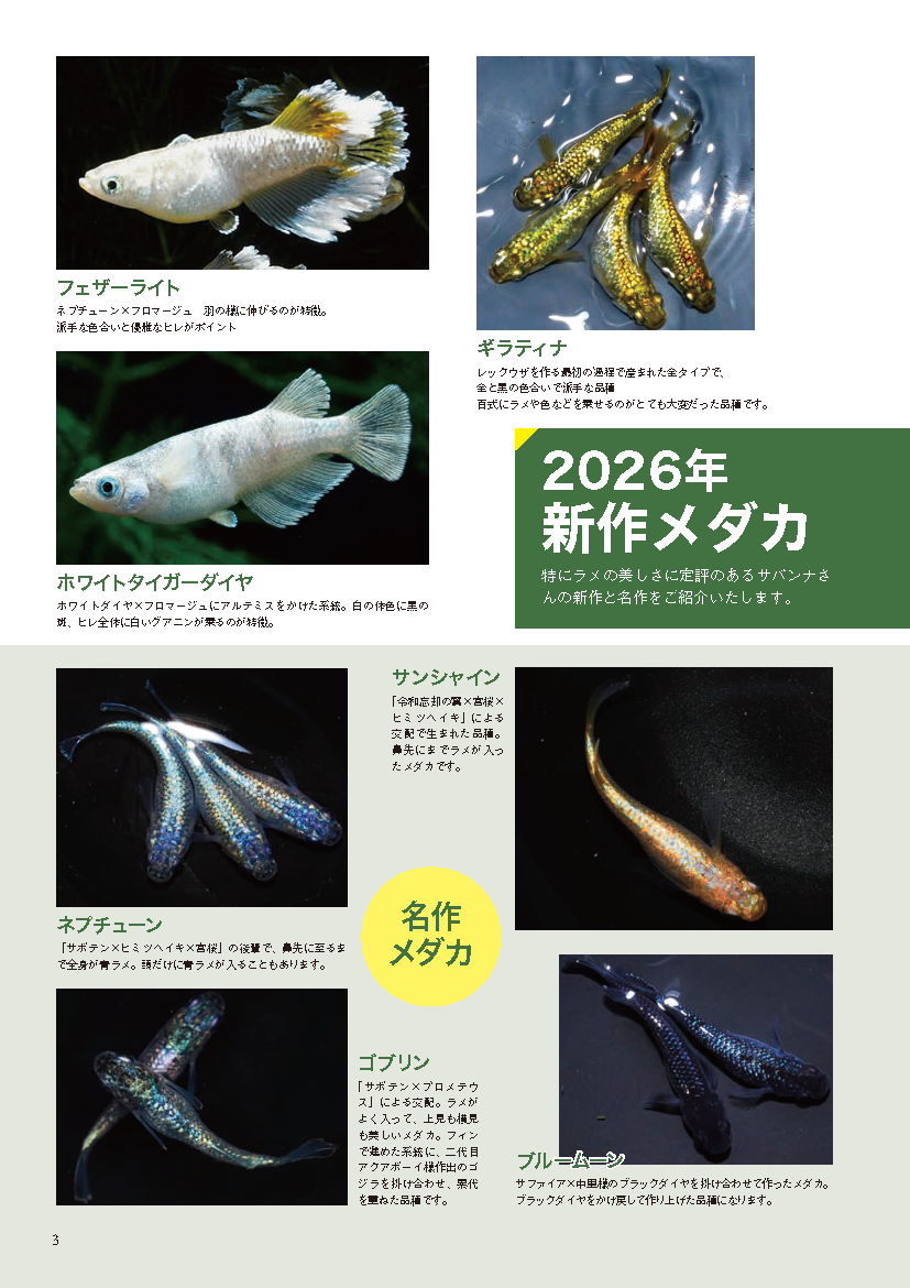 【書籍】メダカFriend Vol.3(M1933)