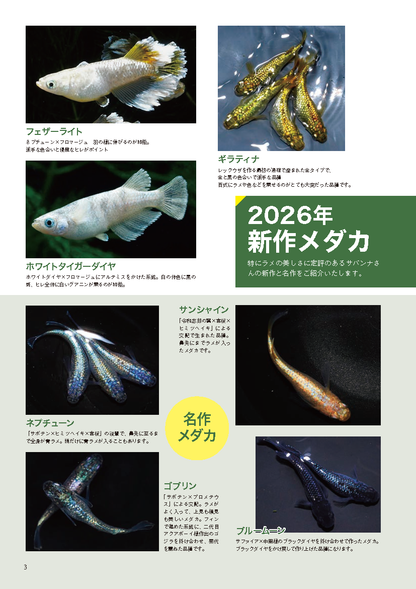【書籍】メダカFriend Vol.3(M1933)