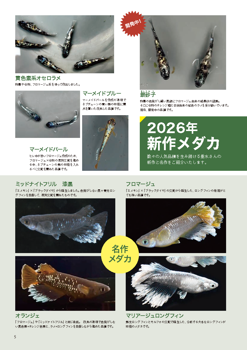 【書籍】メダカFriend Vol.3(M1933)