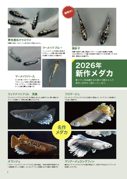 【書籍】メダカFriend Vol.3(M1933)