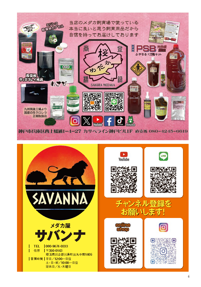 【書籍】メダカFriend Vol.3(M1933)