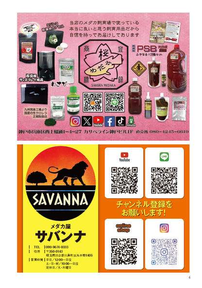 【書籍】メダカFriend Vol.3(M1933)