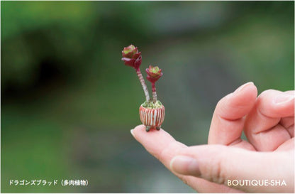 【書籍】つくる・育てる・飾る！超ミニ盆栽 新装版(K16)