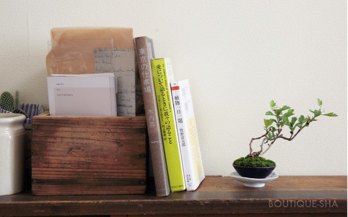 【書籍】つくる・育てる・飾る！超ミニ盆栽 新装版(K16)