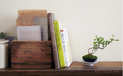 【書籍】つくる・育てる・飾る！超ミニ盆栽 新装版(K16)