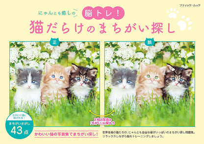 【書籍】猫だらけのまちがい探し(M1599)