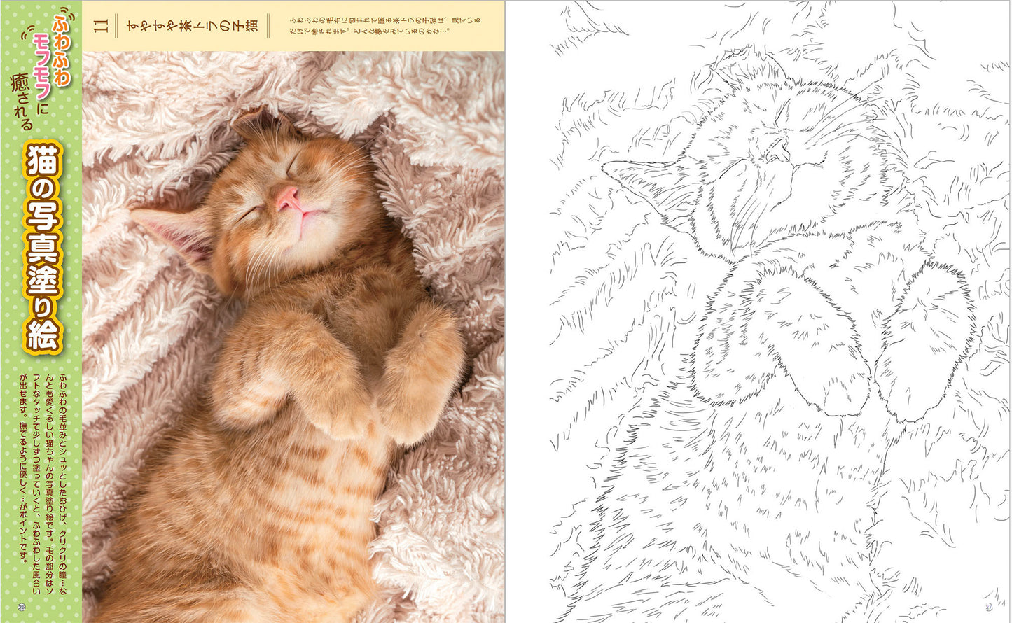 【書籍】癒しの塗り絵BOOK vol.2(M1628)