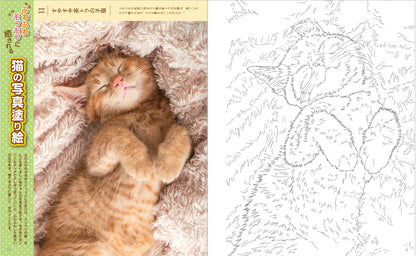 【書籍】癒しの塗り絵BOOK vol.2(M1628)