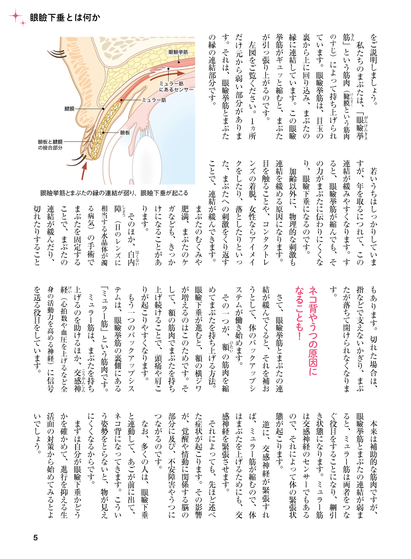 【書籍】眼瞼下垂 名医が教える最強療法 新装版(M1740)