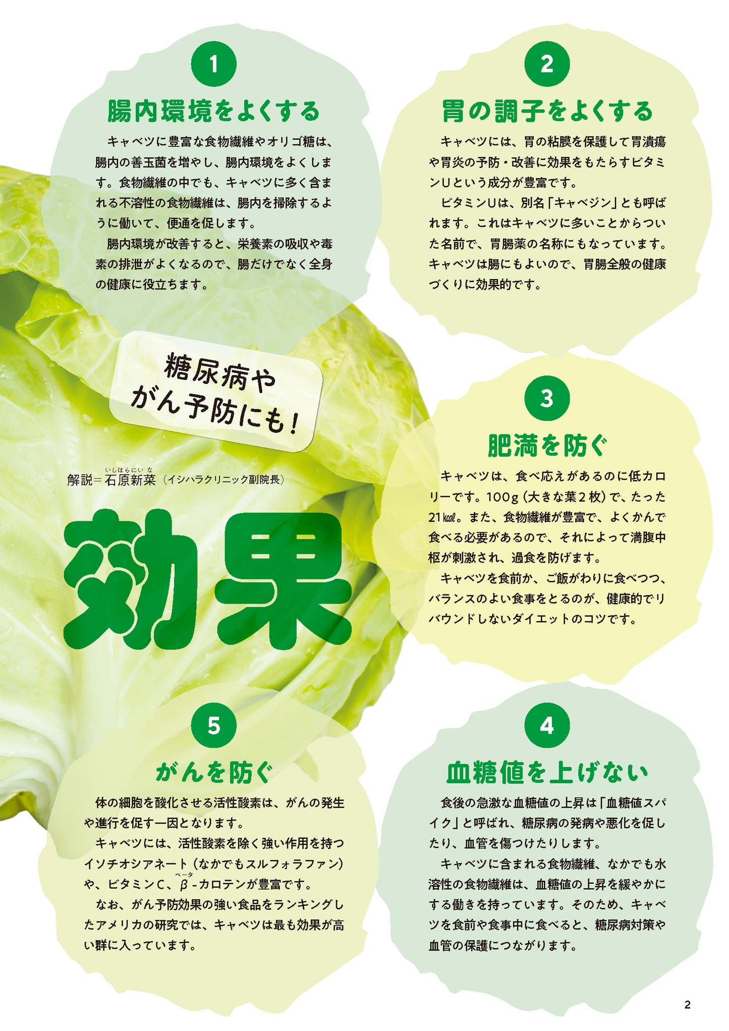 【書籍】血糖値、血圧が下がる！やせる！キャベツ激うまレシピ(M1743)