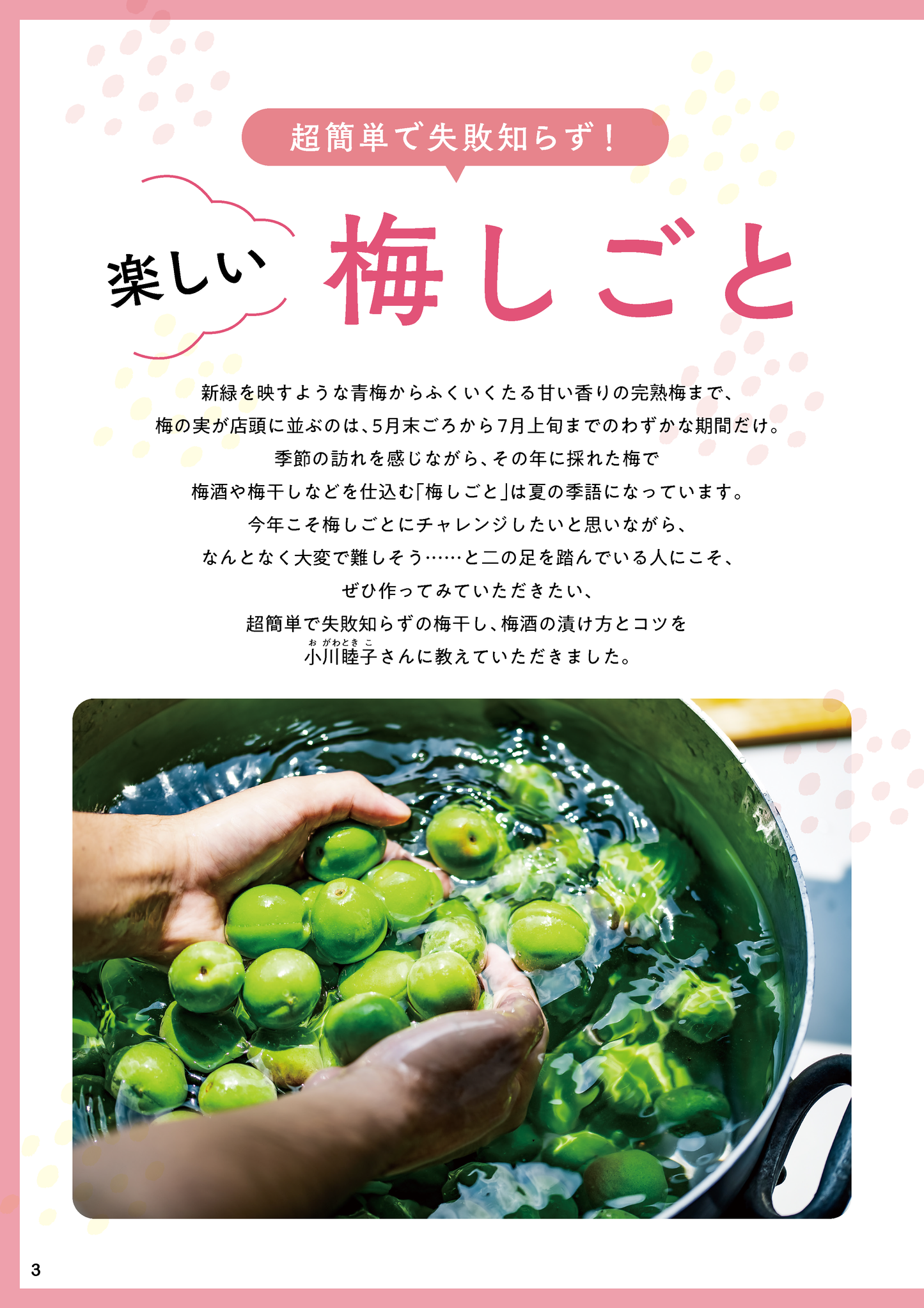 【書籍】梅干し活用大全 新装版(M1747)