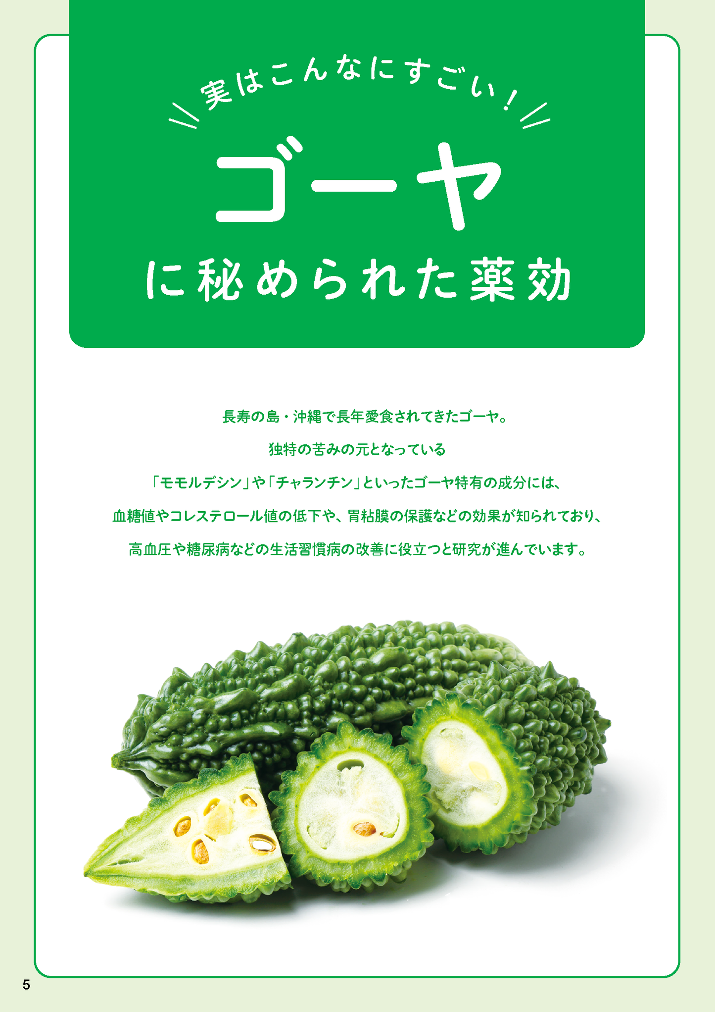 【書籍】ゴーヤでやせる！血糖値、血圧が下がる最強レシピ(M1764)