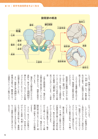 【書籍】股関節痛 名医が教える最高の治し方 新装版(M1802)
