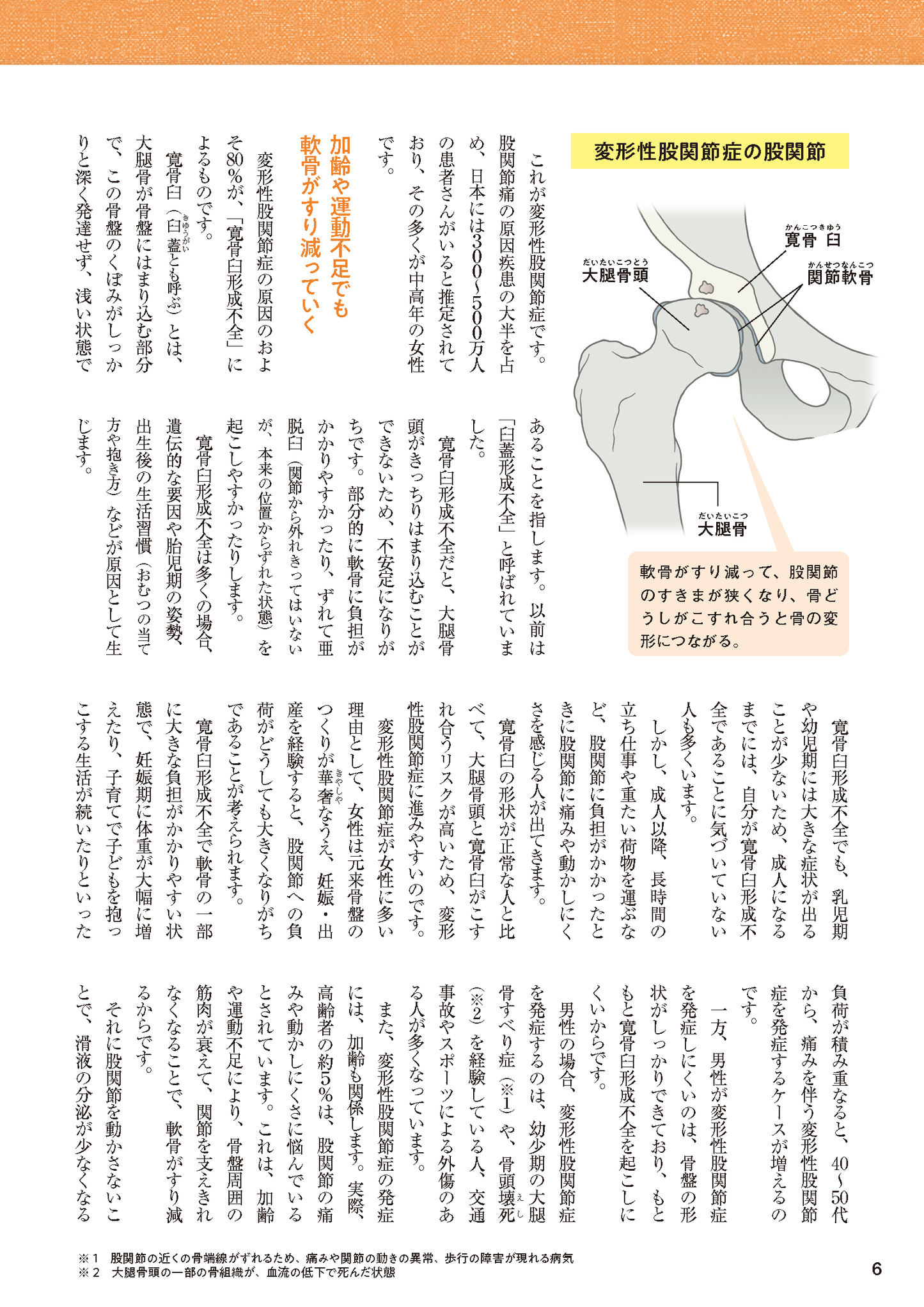 【書籍】股関節痛 名医が教える最高の治し方 新装版(M1802)