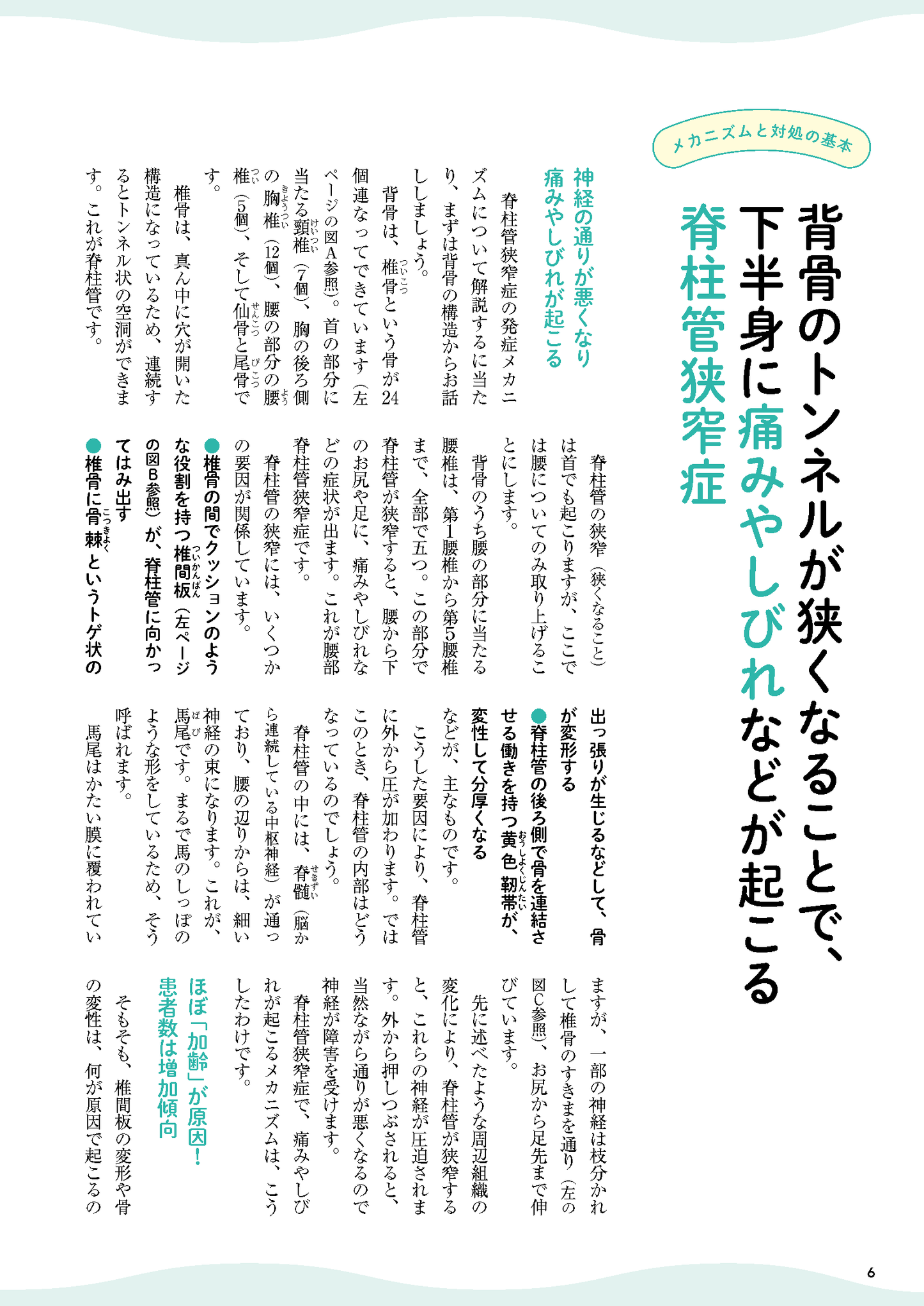 【書籍】脊柱管狭窄症 痛み・しびれを撃退する特効ケア(M1818)