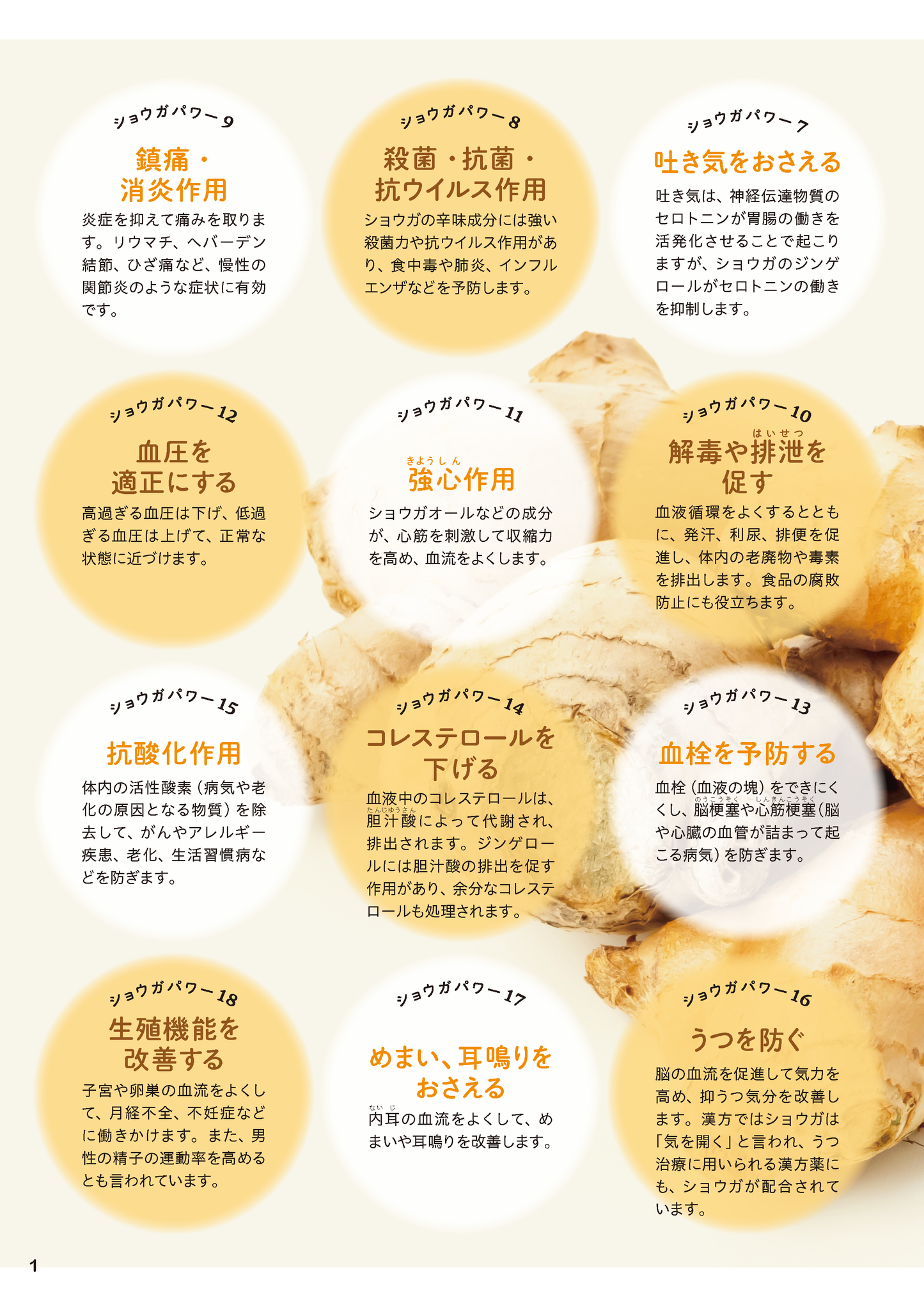 【書籍】やせる！病気知らずのショウガ活用レシピ(M1822)