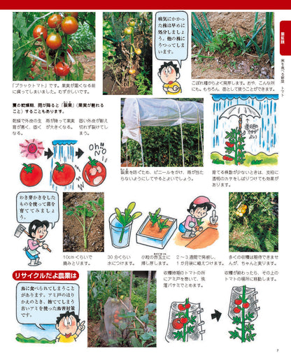 【書籍】増補改訂版 まんがと写真でよくわかる 野菜をつくろう！(M1839)