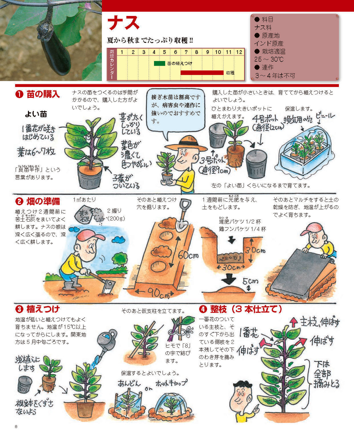 【書籍】増補改訂版 まんがと写真でよくわかる 野菜をつくろう！(M1839)