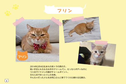 【書籍】短足マンチカンのプリンとメルのほっこりまちがい探し(M1846)