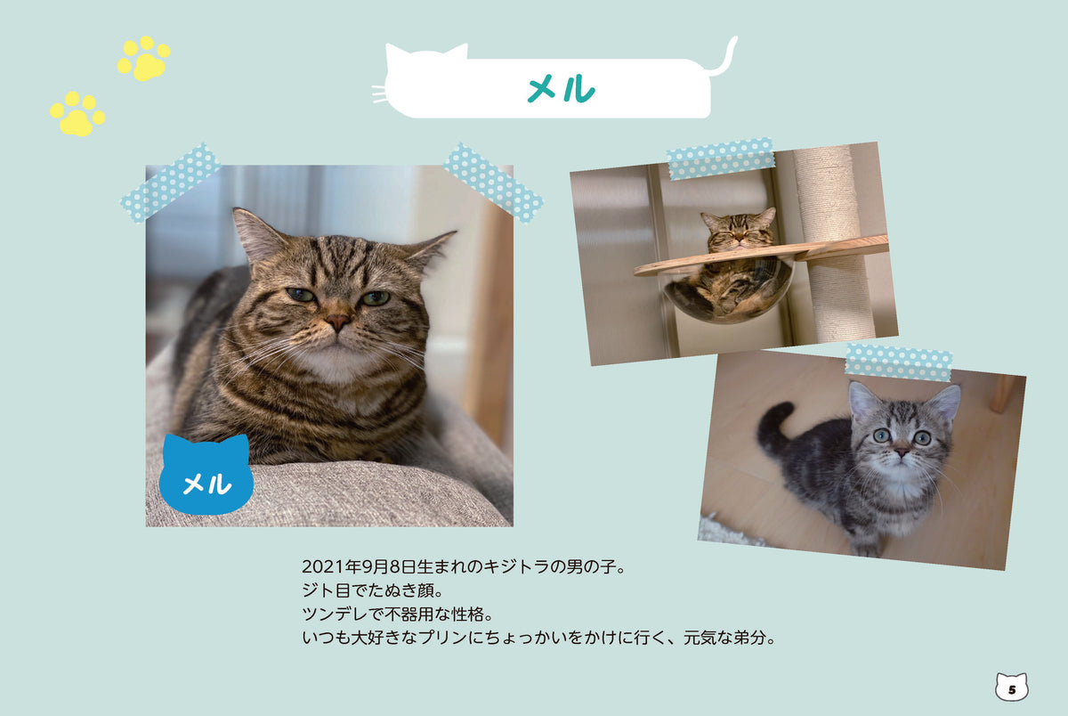 【書籍】短足マンチカンのプリンとメルのほっこりまちがい探し(M1846)