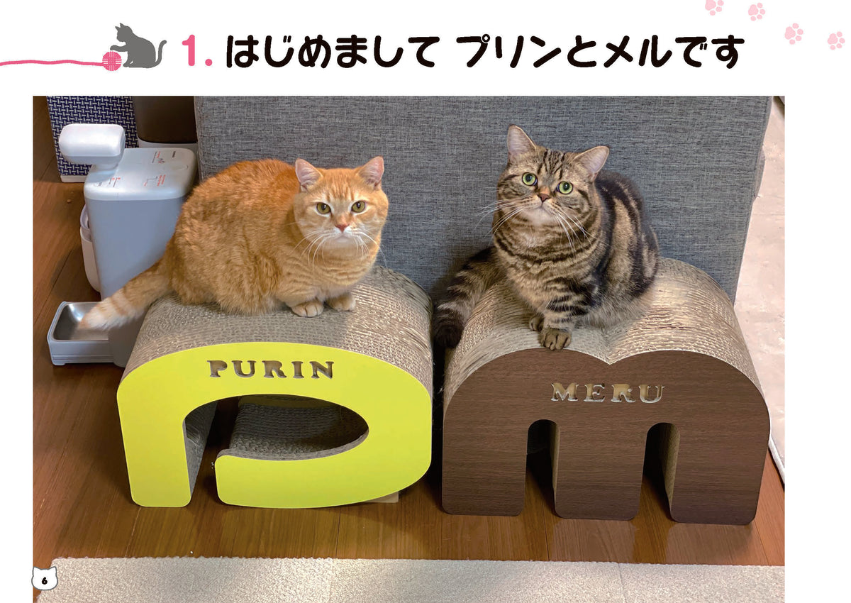 【書籍】短足マンチカンのプリンとメルのほっこりまちがい探し(M1846)
