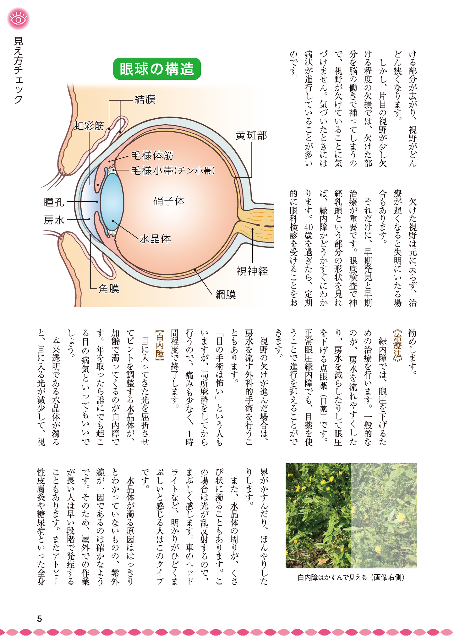 【書籍】緑内障・白内障・黄斑変性 自分で防ぎ治す特効ケア 新装版(M1851)