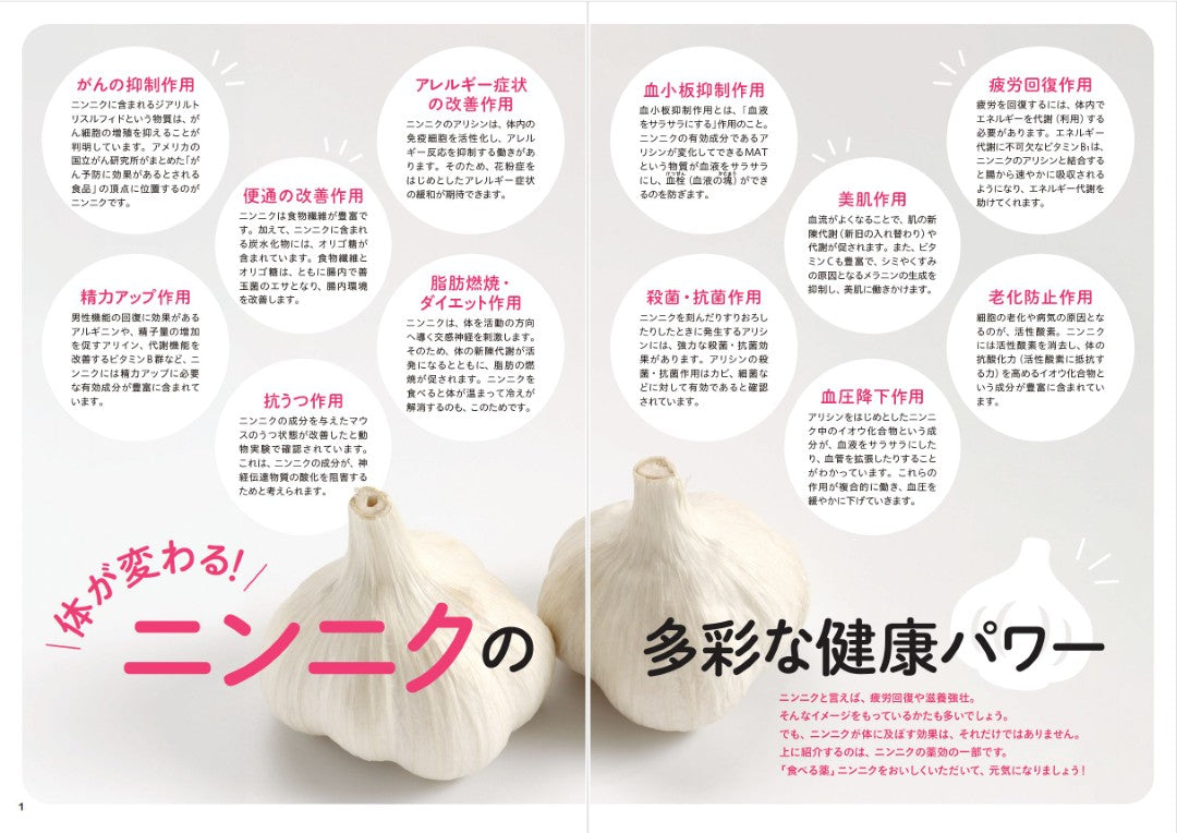 【書籍】元気になる！らくらくやせる！ニンニク活用レシピ(M1853)