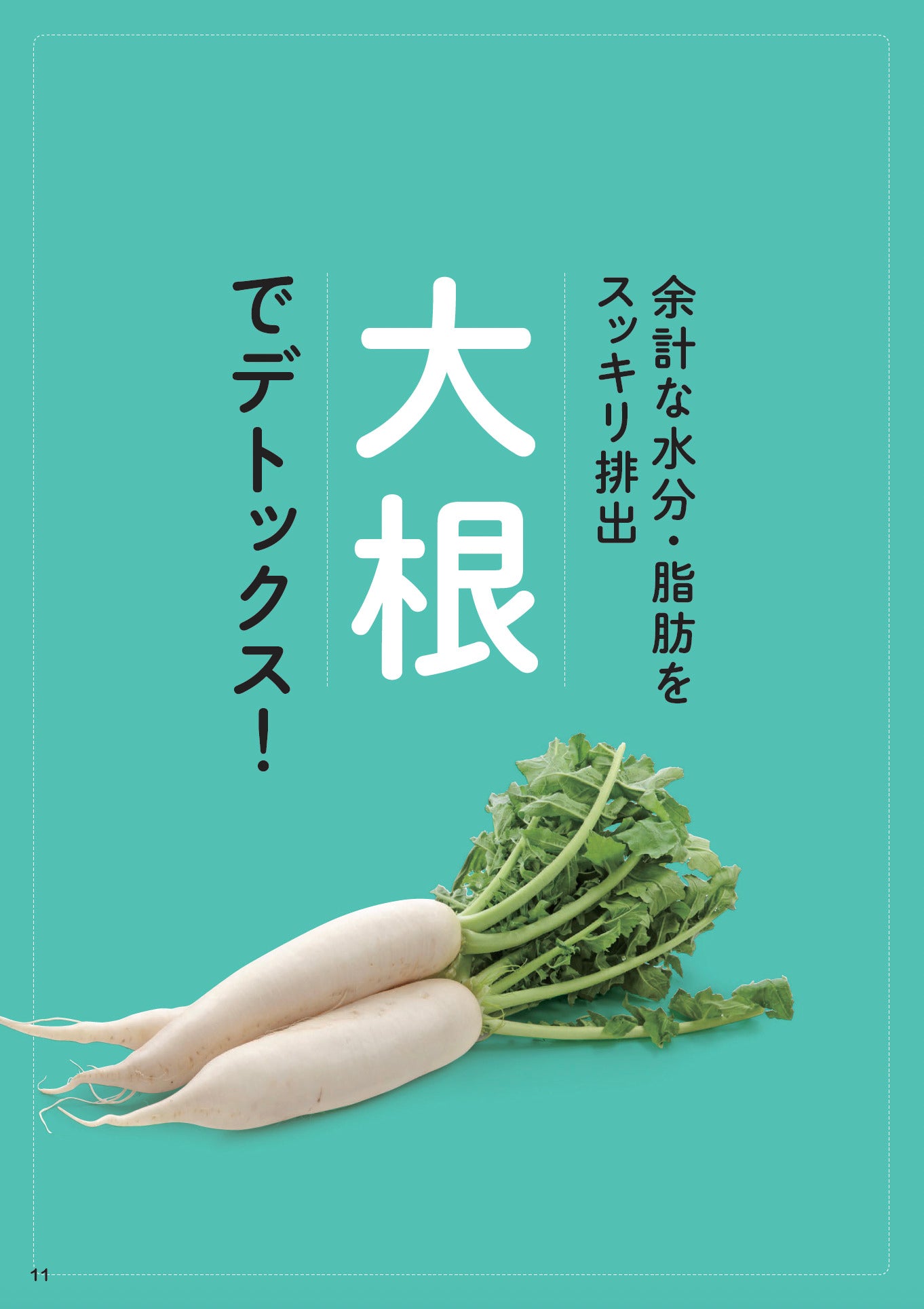 【書籍】やせる！おなかスッキリ！大根食べつくしBOOK（M1882）