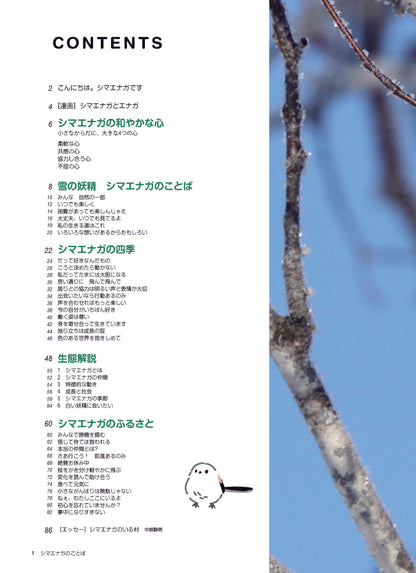 【書籍】心が軽くなる シマエナガのことば(M1913)