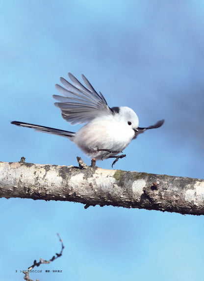 【書籍】心が軽くなる シマエナガのことば(M1913)