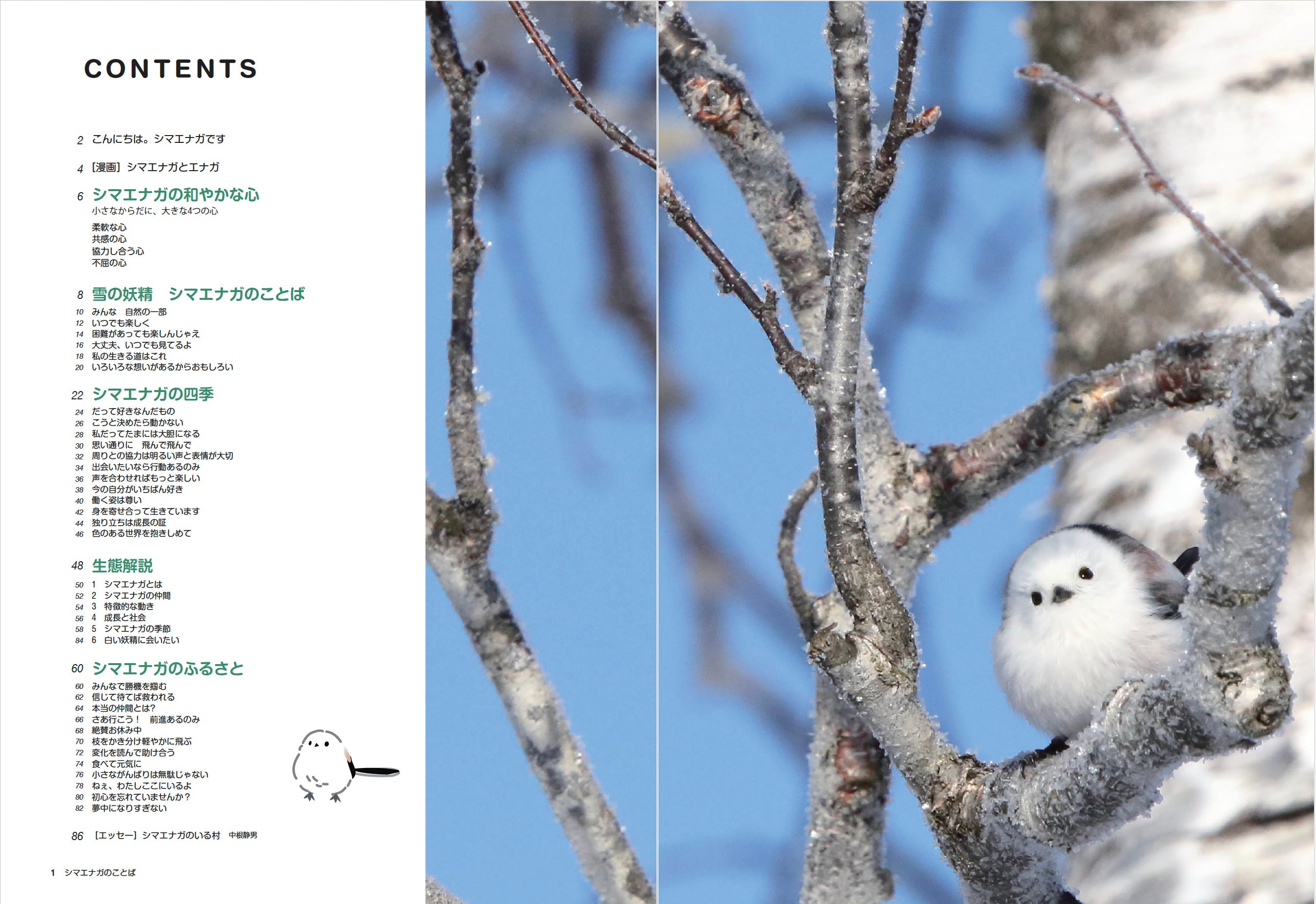 書籍】心が軽くなる シマエナガのことば(M1913) – ブティック社 公式