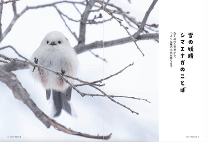 【書籍】心が軽くなる シマエナガのことば(M1913)