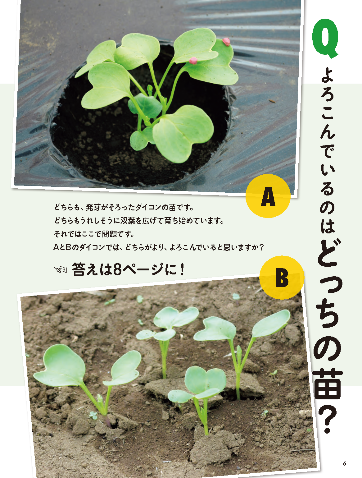 【書籍】タネまきと植えつけの新常識(M1943)
