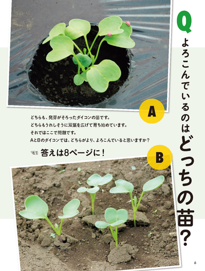 【書籍】タネまきと植えつけの新常識(M1943)