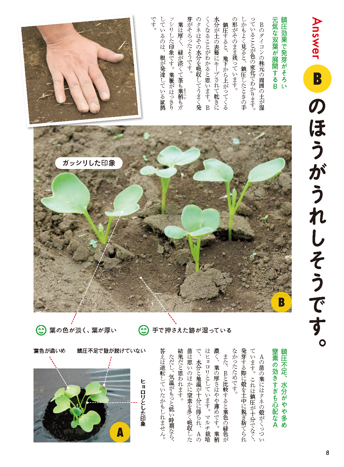 【書籍】タネまきと植えつけの新常識(M1943)