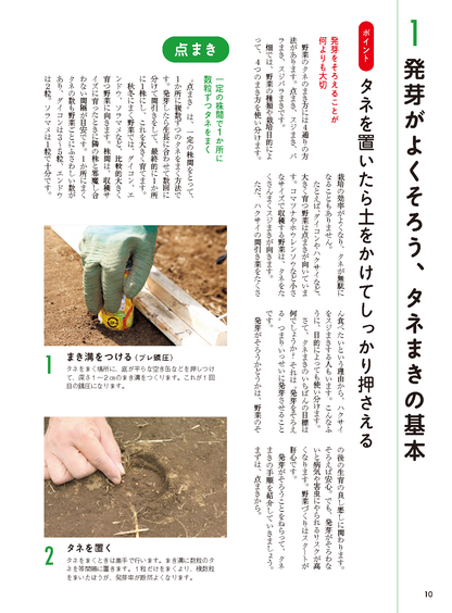 【書籍】タネまきと植えつけの新常識(M1943)