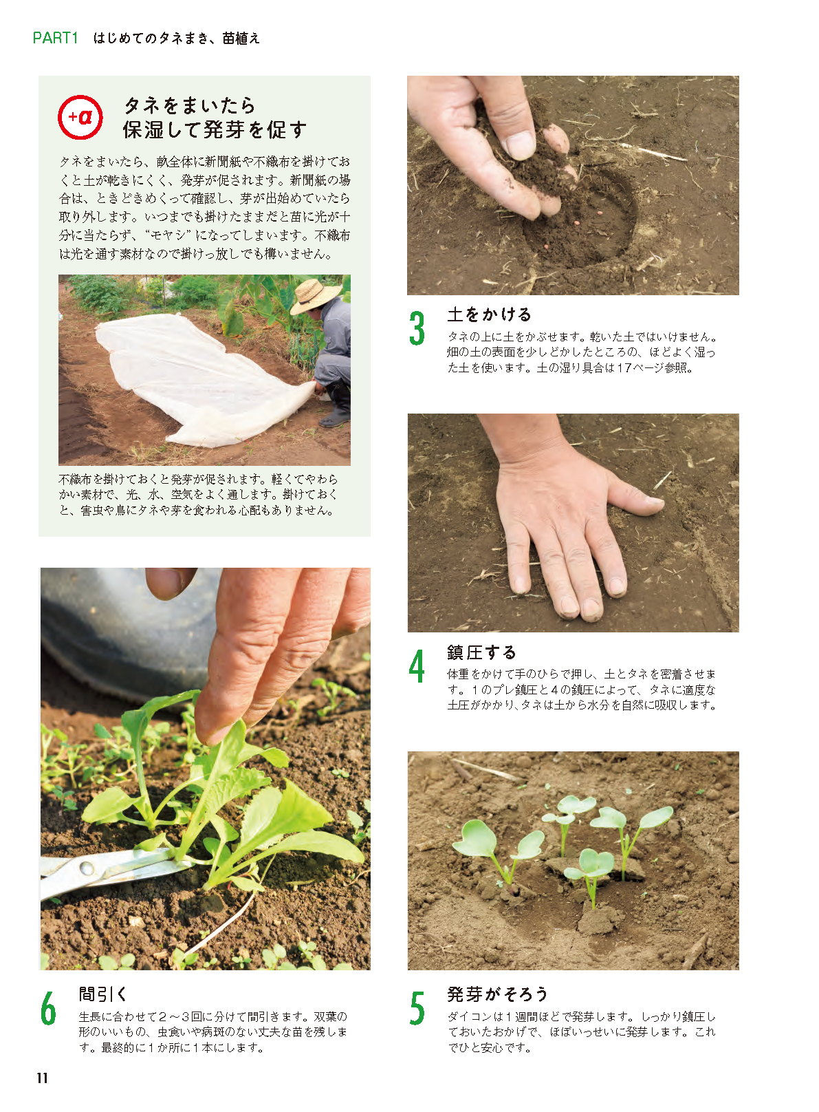【書籍】タネまきと植えつけの新常識(M1943)