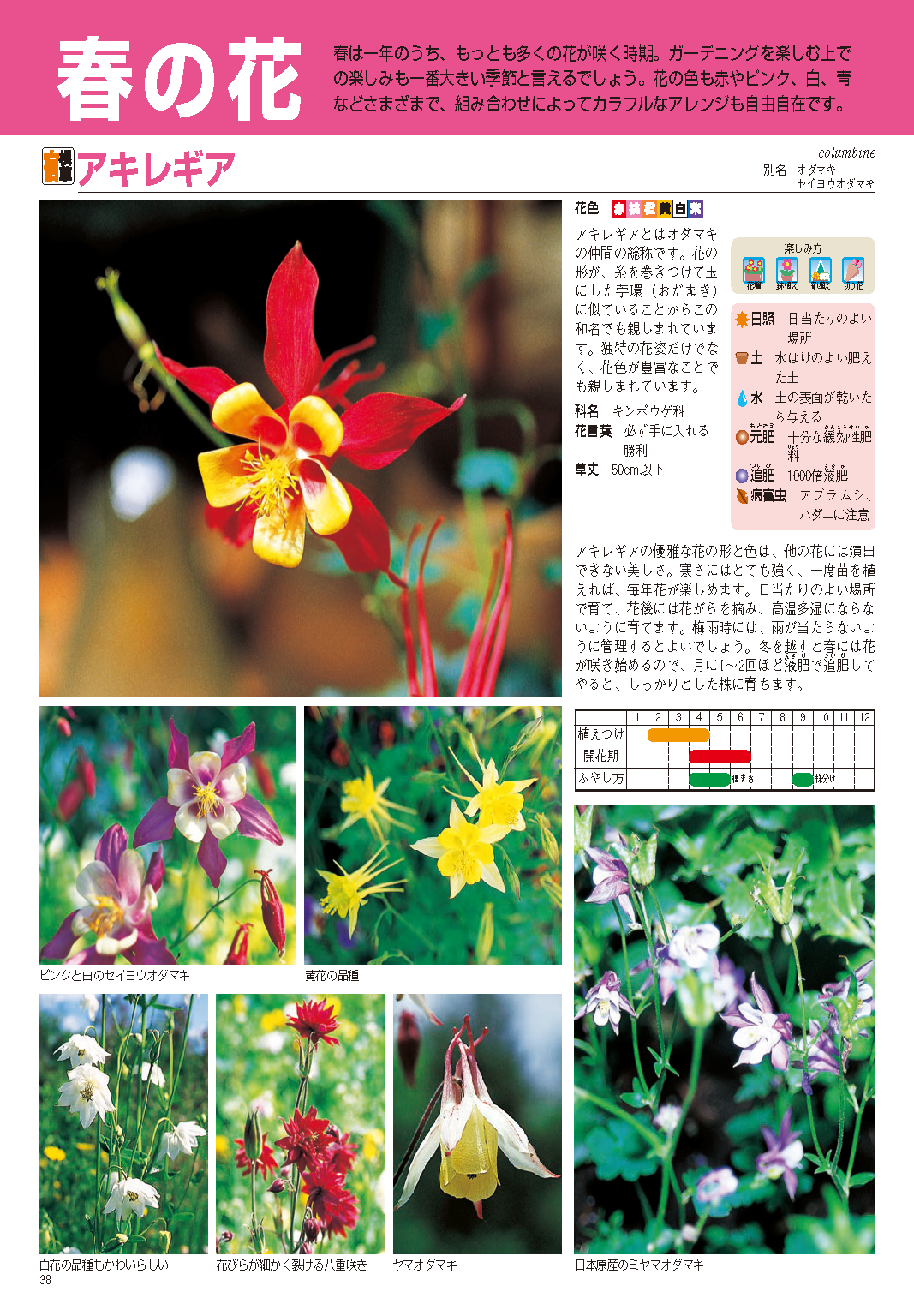 【書籍】園芸大百科　新装丁版(M1944)