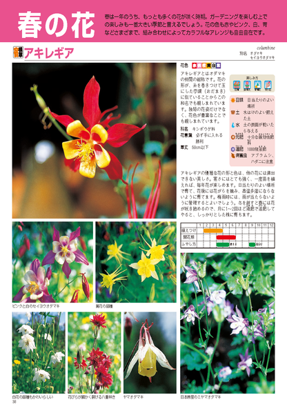【書籍】園芸大百科　新装丁版(M1944)