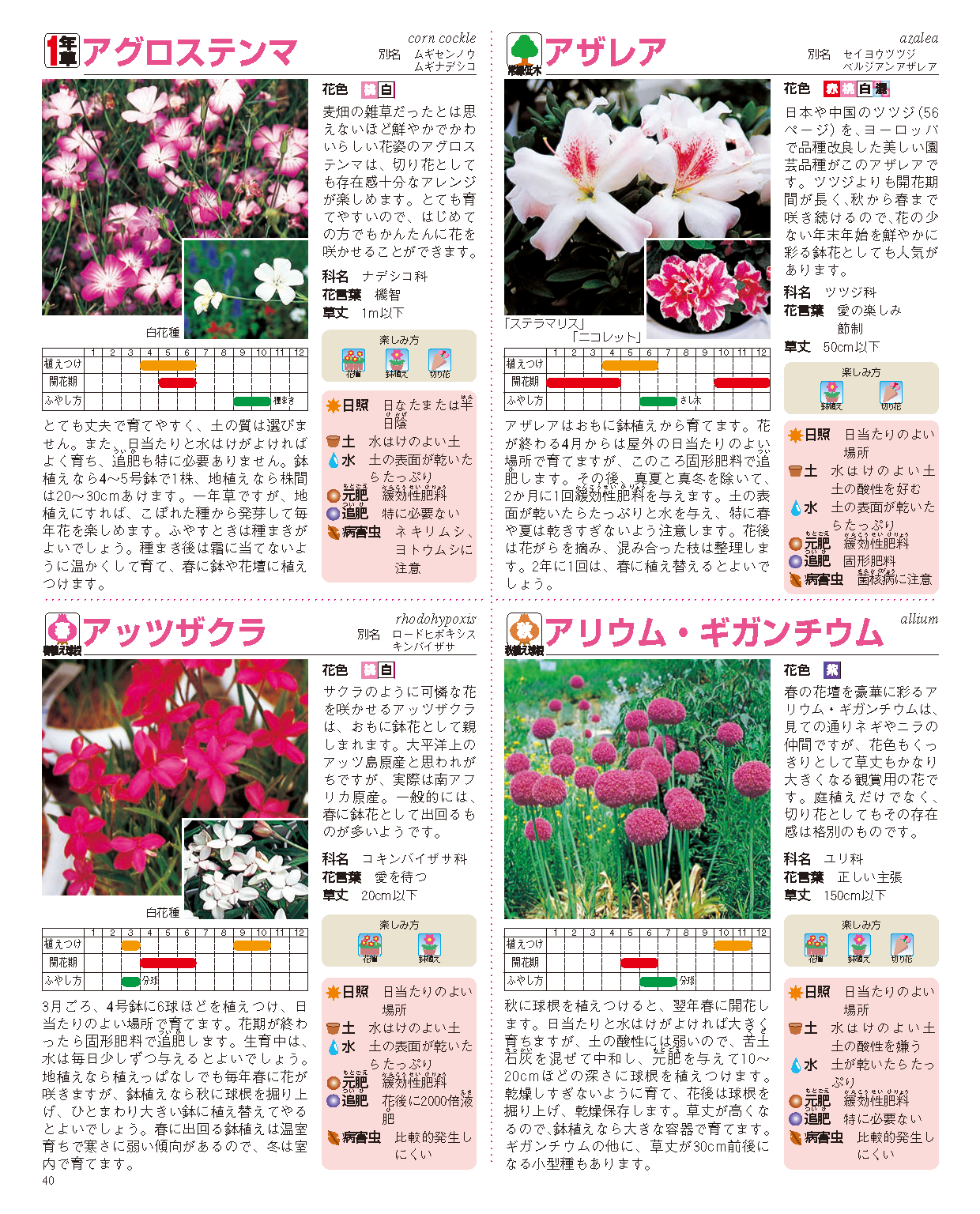 【書籍】園芸大百科　新装丁版(M1944)