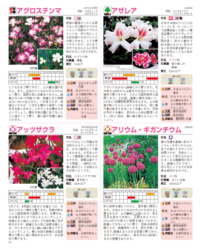 【書籍】園芸大百科　新装丁版(M1944)