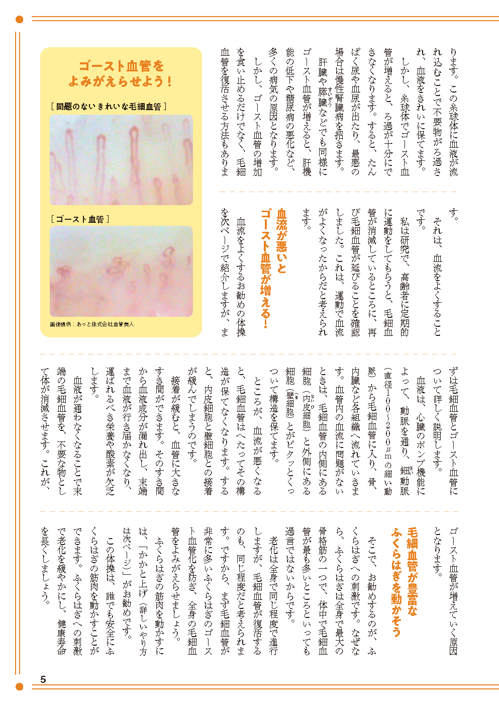 【書籍】ふくらはぎをもむと体の不調、痛みが消える！(M1946)