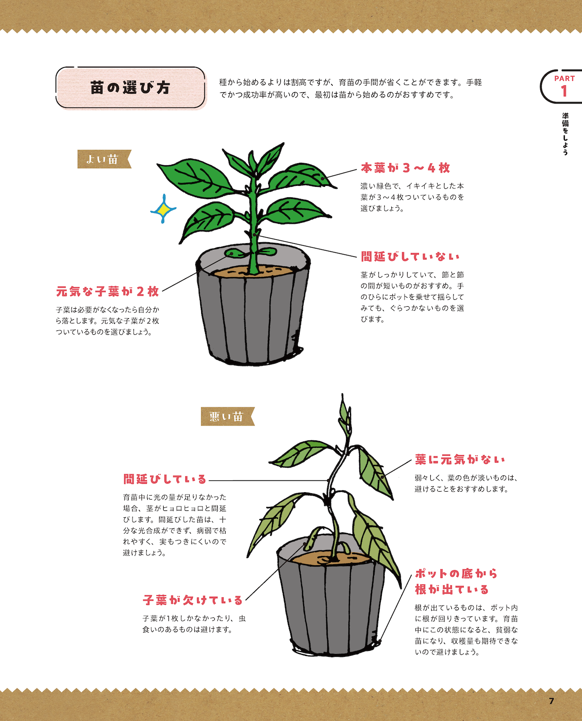 【書籍】これならできる！今日からはじめるプランター菜園(M1959)