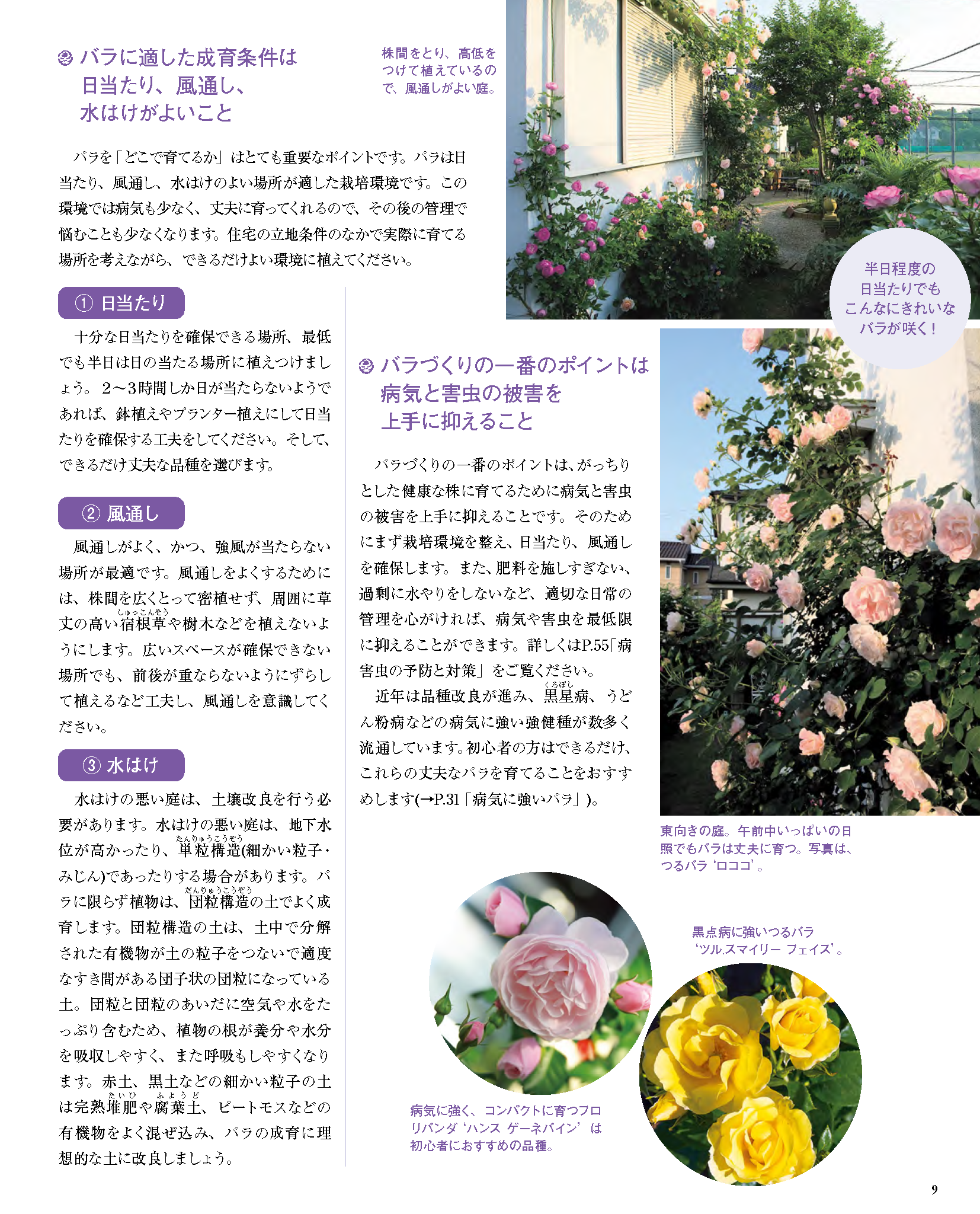 書籍】増補改訂版 プロが教える バラのすべて(M1960) – ブティック社