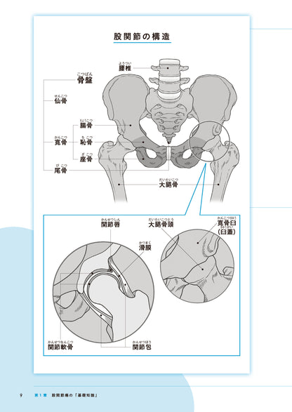 【書籍】股関節痛 自分で治す最強事典(M2017)