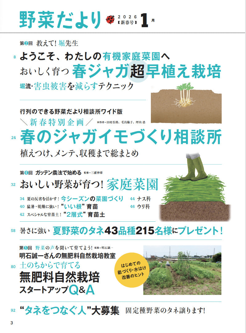 【書籍】野菜だより2026年1月新春号(112601)
