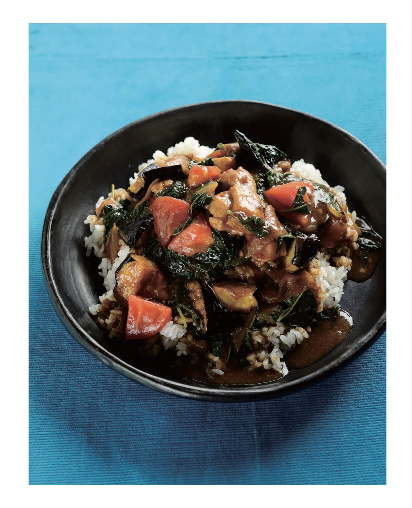 【書籍】改訂版 東京カリー番長のあしたのルウカレー(M1855)