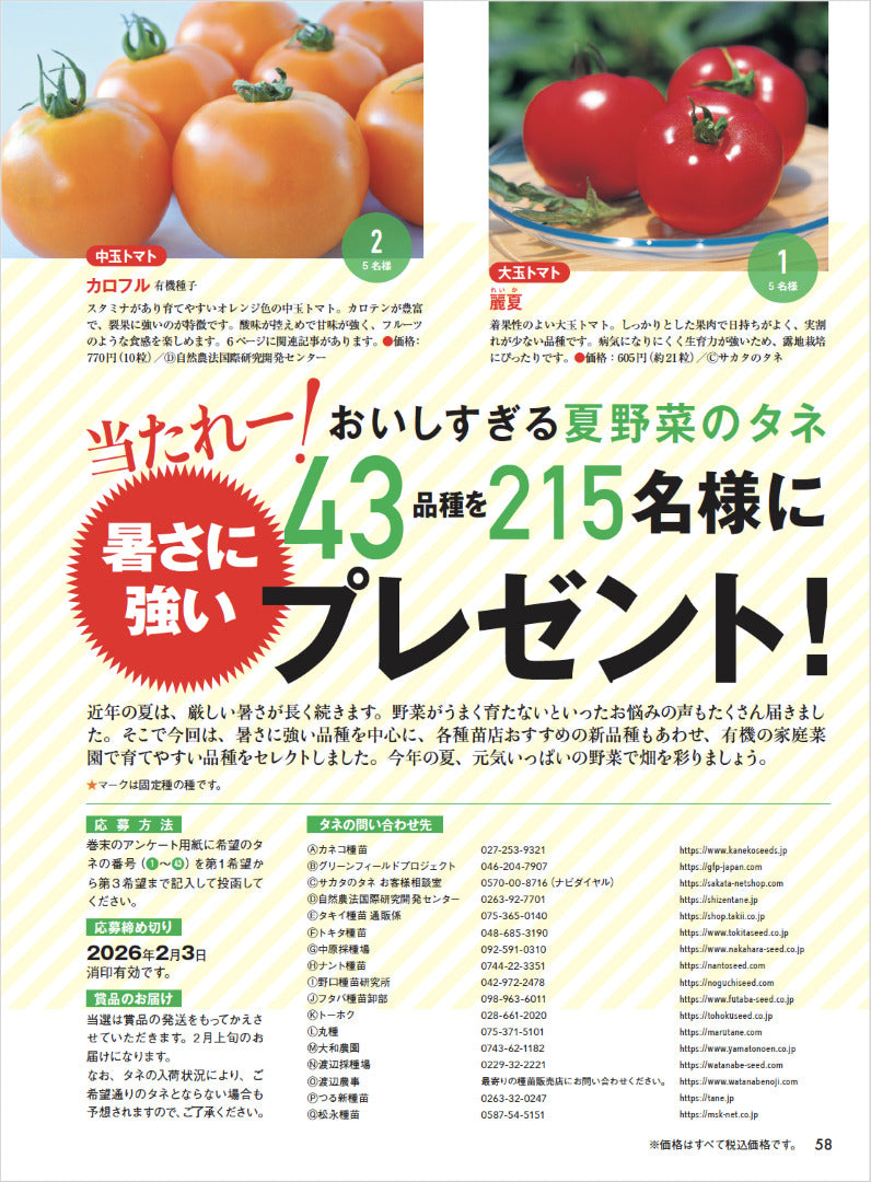 【書籍】野菜だより2026年1月新春号(112601)